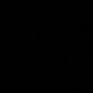 Meet your Posher, Tyresha